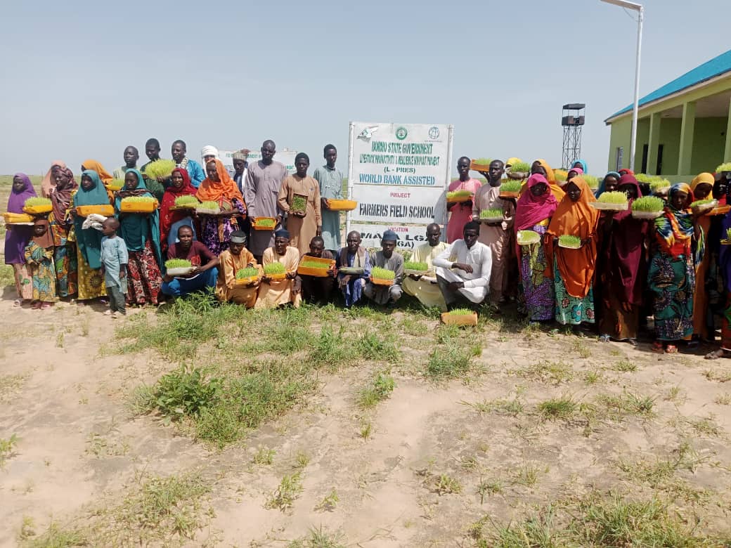 L-PRES RUGA Farmers Field School Supports Livestock Farmers with Hydroponic Fodder Grass